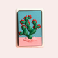 Wholesale Sample 3 Pack