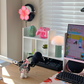 Starter Pack Sakura Headphone Holder